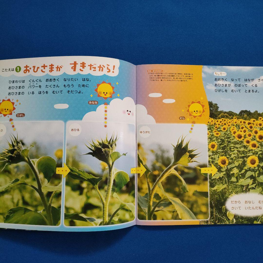 こどもとしぜん　キンダーブックしぜん　かがくのとも　ひまわり　バナナ　ねむる