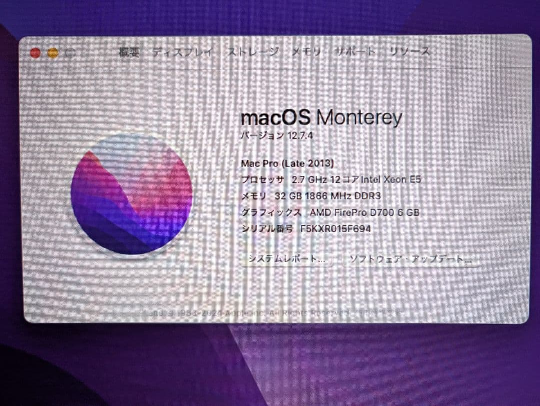 L*2様 Apple Mac Pro Late2013 CTOモデル 12C＆D