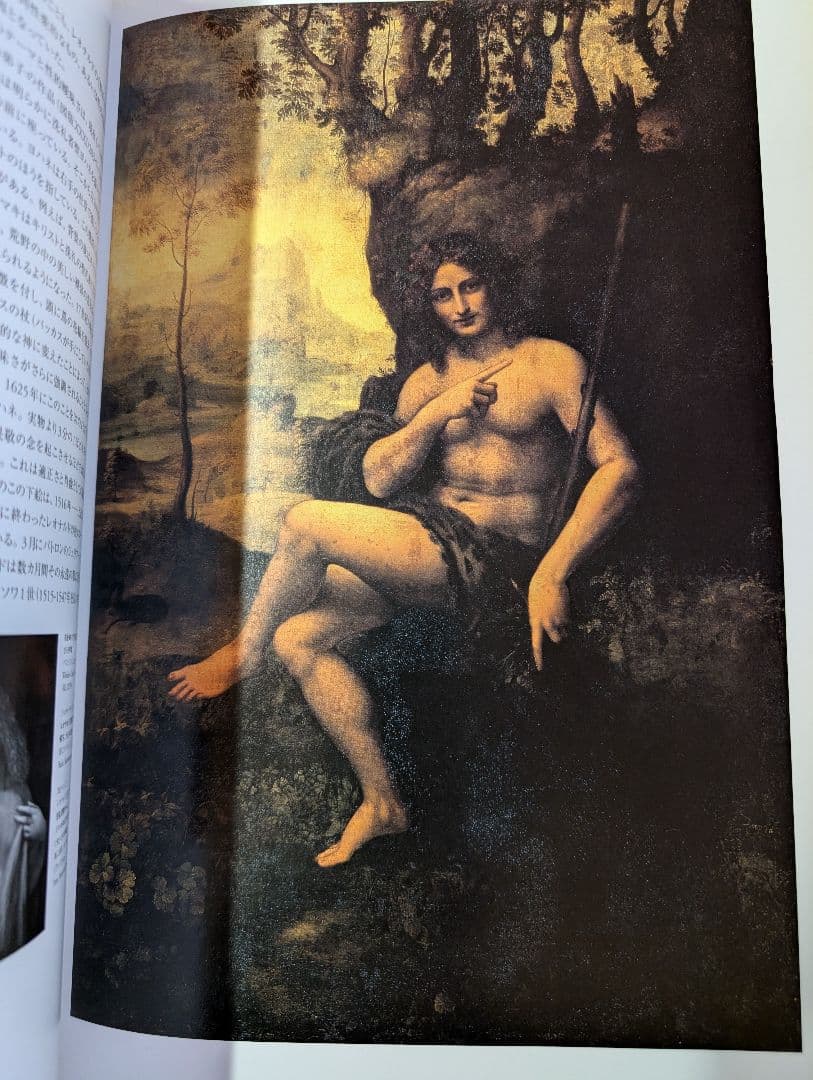 レオナルド・ダヴィンチ 全絵画作品・素描集　TASCHEN　da vinci