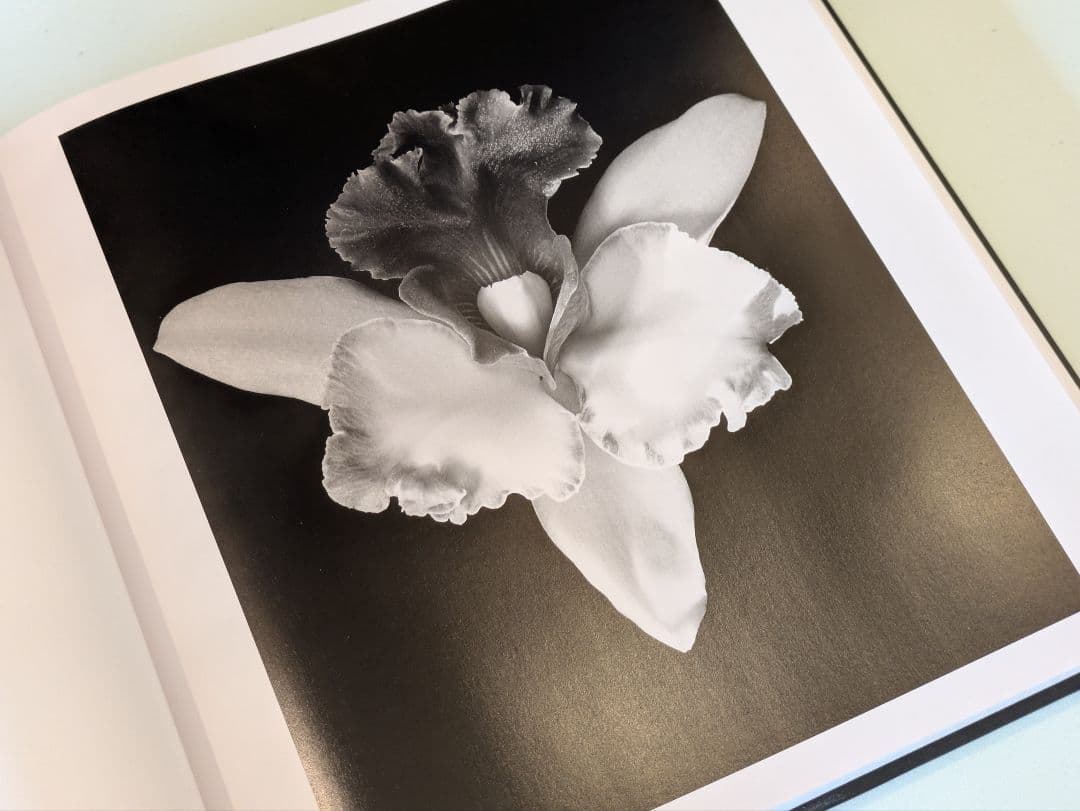 【新品】Flora Robert Mapplethorpe / メイプルソープ