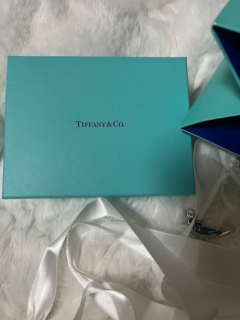 Tiffany & Co. 名刺入れ ティファニーブルー
