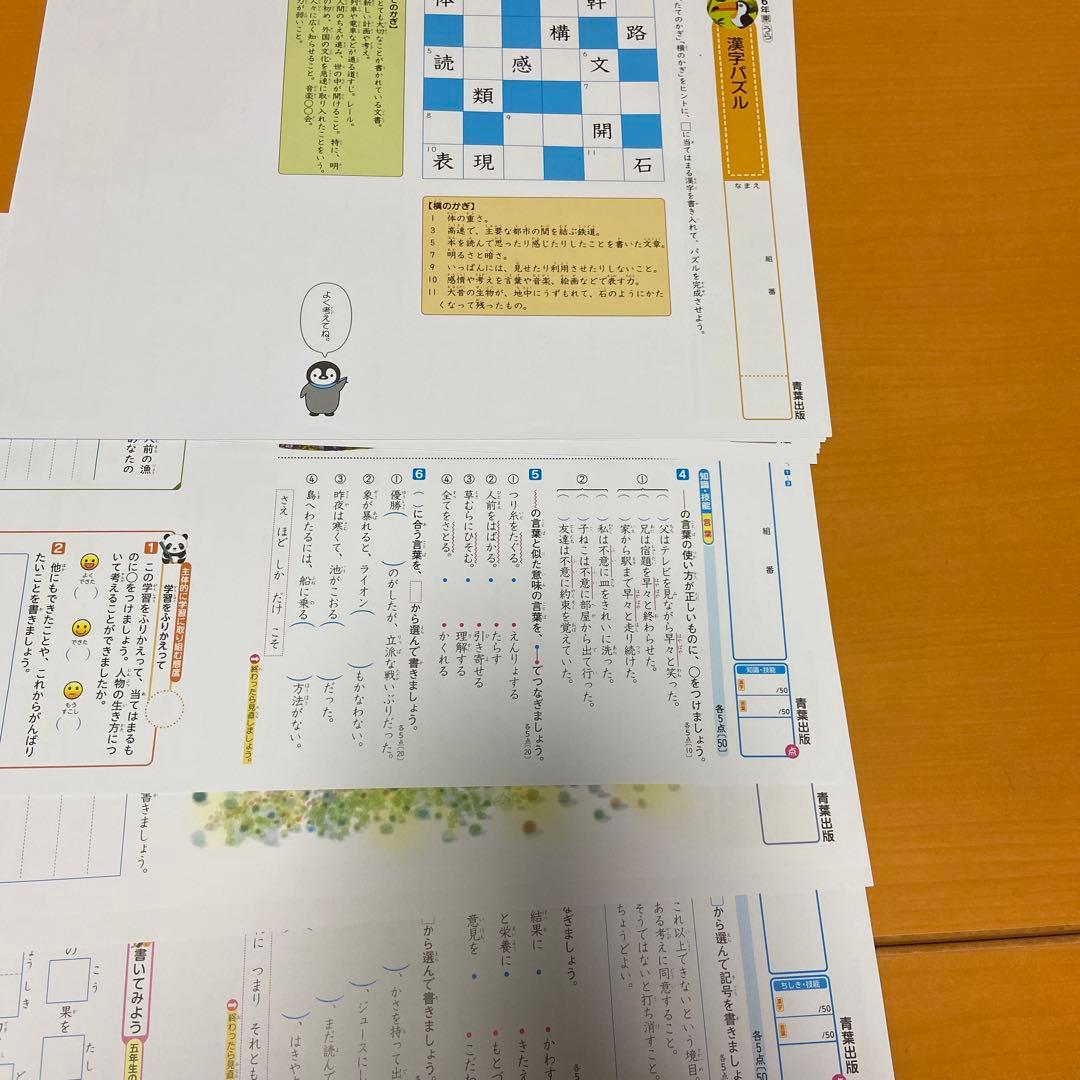 カラーテスト　6年生 国語 未記入