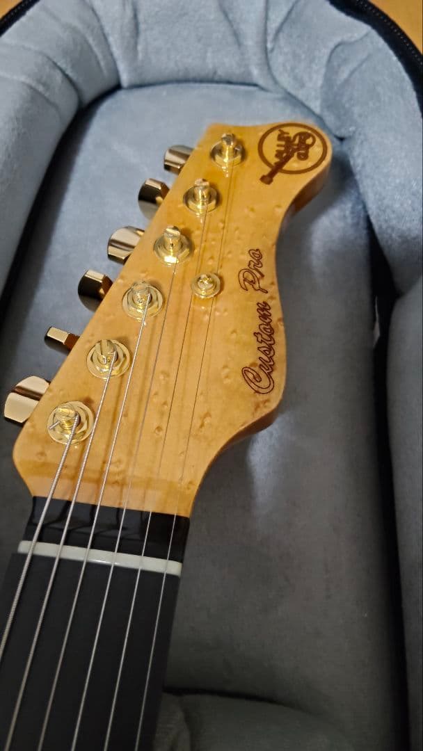Valley Arts Custom Pro 朝日木工期/ Warmothネック