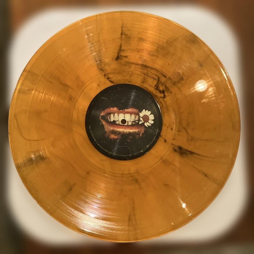 Hozier ホージアUnreal Unearth Unending レコード