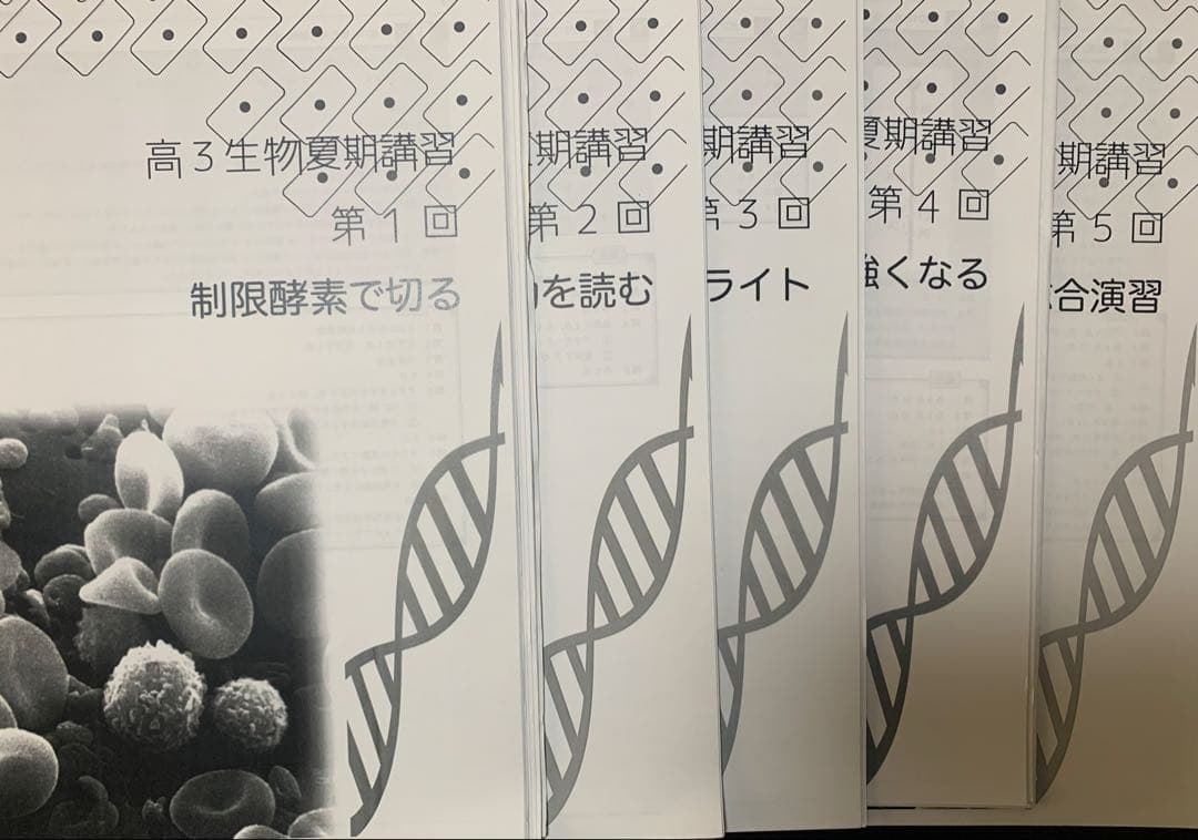 鉄緑会 2024 高3 夏期講習 生物 テキスト 冊子 プリント