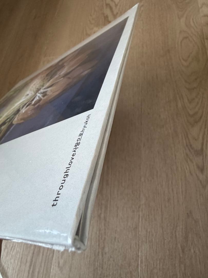 HYUKOH THROUGH LOVE VINYL LP レコード アナログ盤