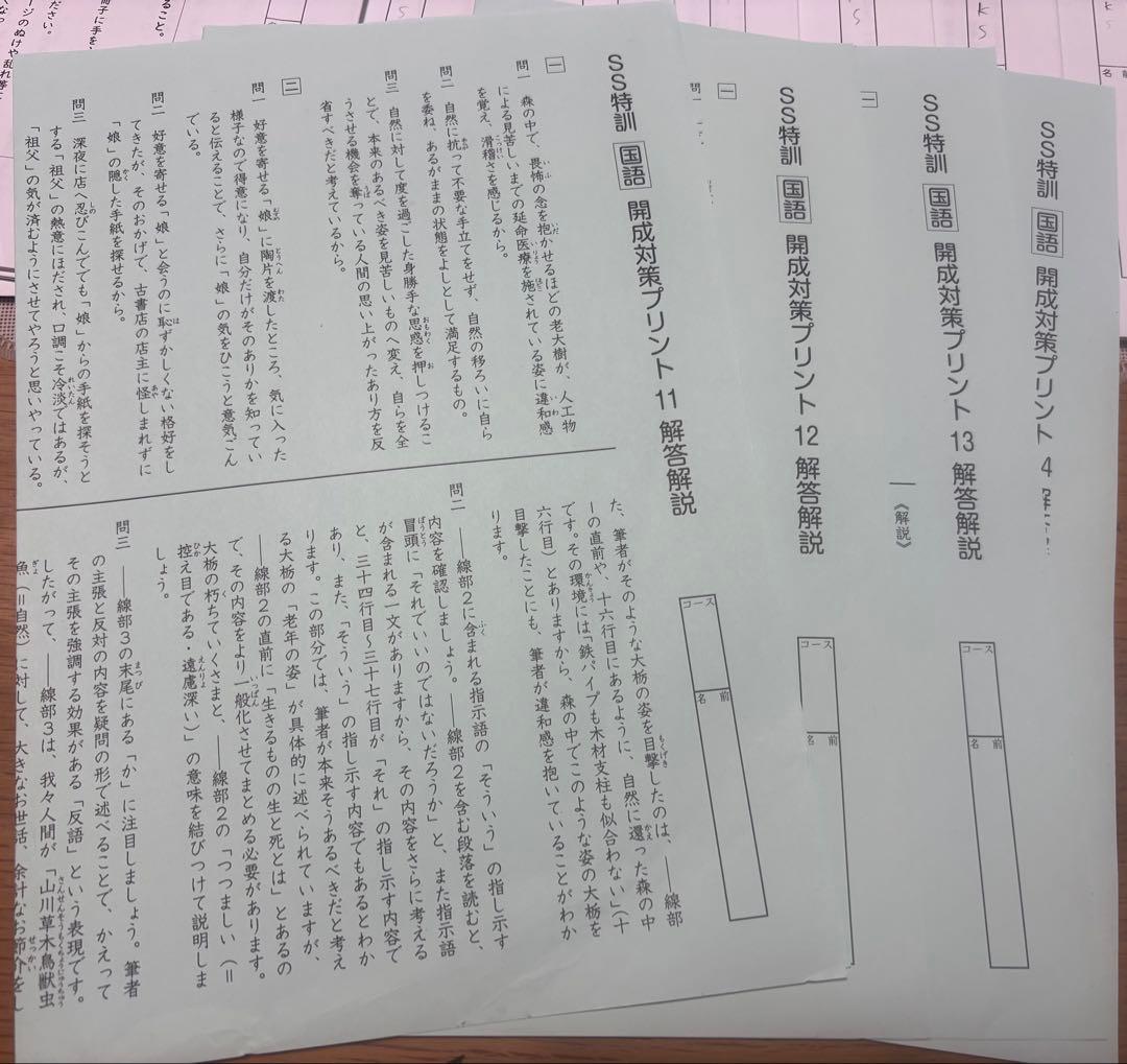 SAPIX6年 2024版　国語SS特訓　開成対策プリント14回　原本解答付き