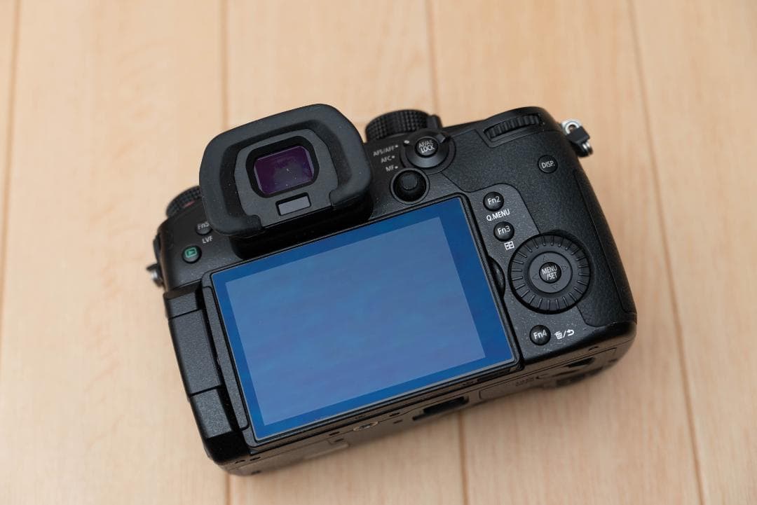 Panasonic LUMIX GH5S バッテリー3個・充電器2個 セット