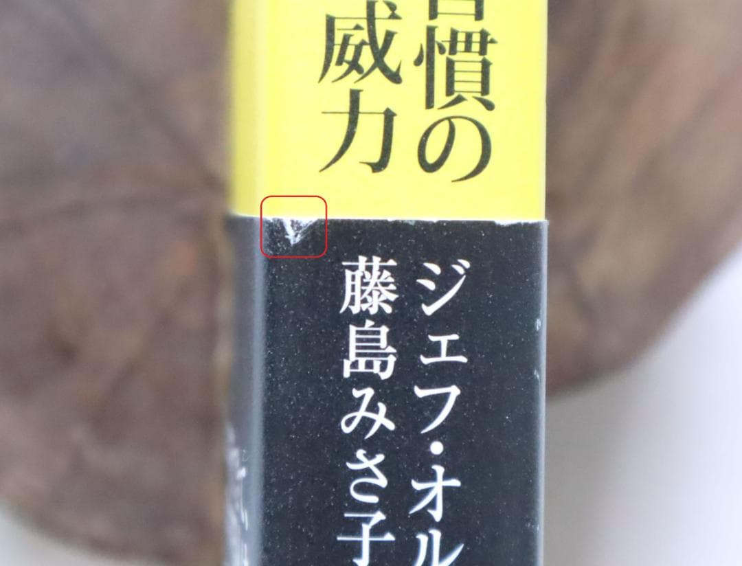 スライトエッジ 小さな習慣の驚くべき威力 ジェフ・オルソン著 藤島みさ子訳