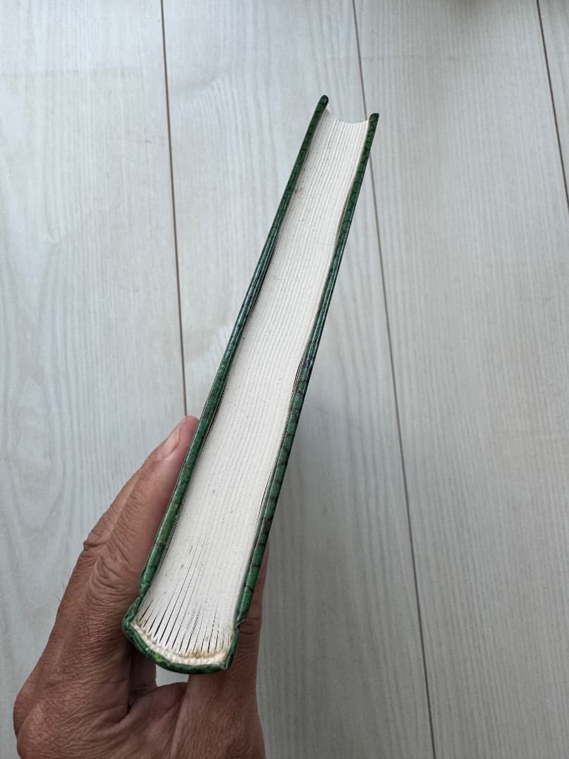 ヒルヤモリの飼育図鑑　洋書 ドイツ語 Phelsuma