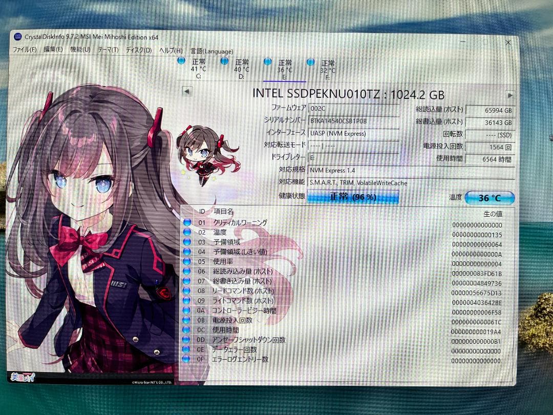 【動作確認済】Intel SSD 665P 1TB M.2 NVMe 本体のみ