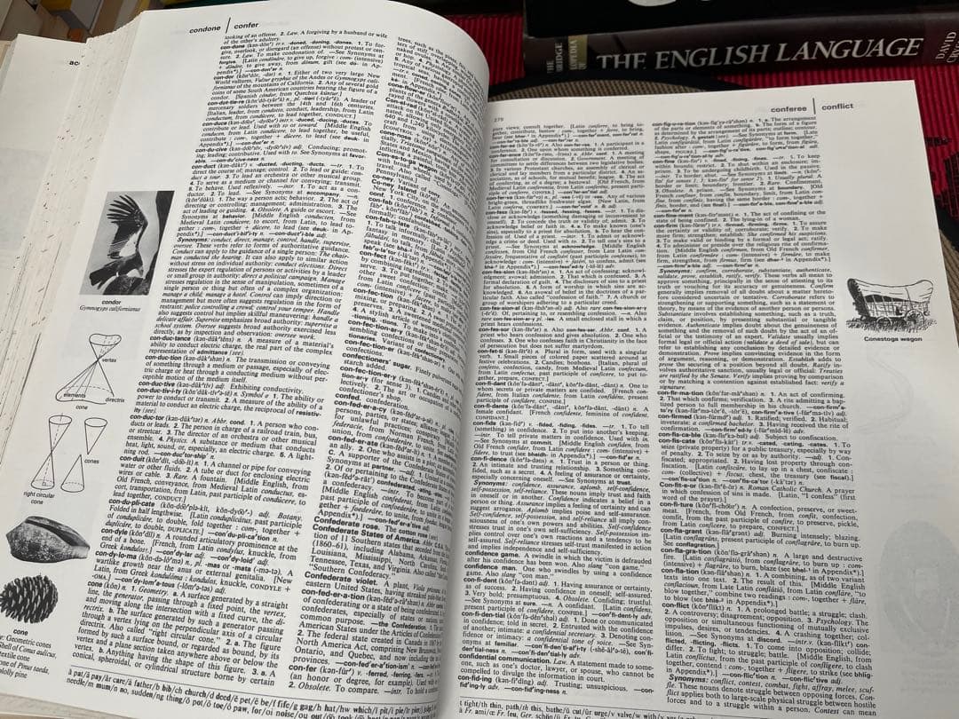 語学・辞書・学習参考書 THE AMERICAN HERITAGE DICTIONARY