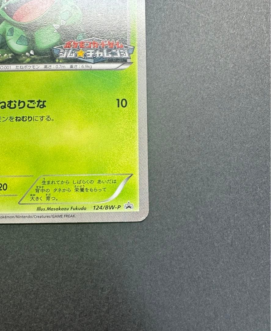 ポケモンカード　フシギダネ　124/BW-P プロモ　ジムチャレンジ