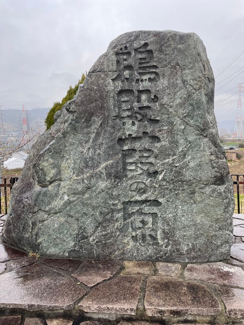 篳篥用リード 《極》※即戦力