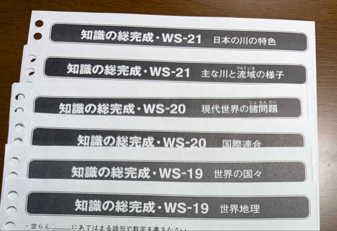 【美品】SAPIX　６年　土特　社会　知識の総完成WS-01〜WS-36