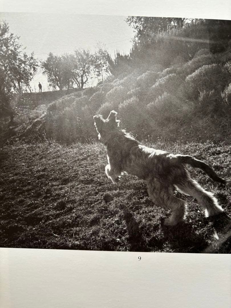 Lartigue: Photographs 1970-1982 ラルティーグ