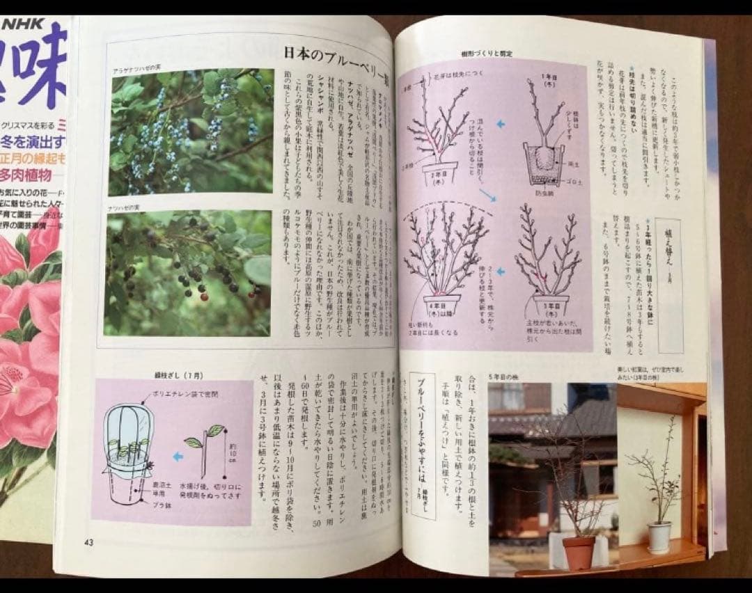 【レア品】34年前の古書　ＮＨＫ趣味の園芸　19冊1991年〜1992年 昭和