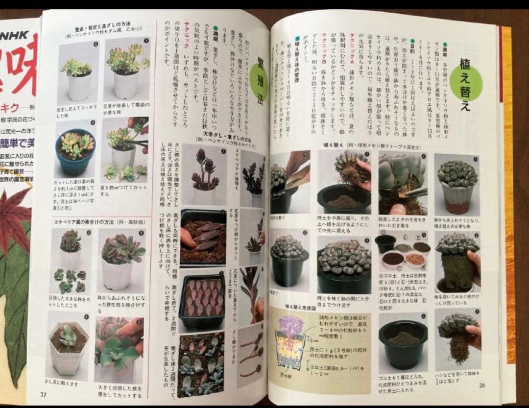 【レア品】34年前の古書　ＮＨＫ趣味の園芸　19冊1991年〜1992年 昭和