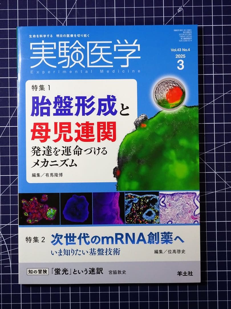 実験医学 2025年 月刊号 全12冊セット 羊土社