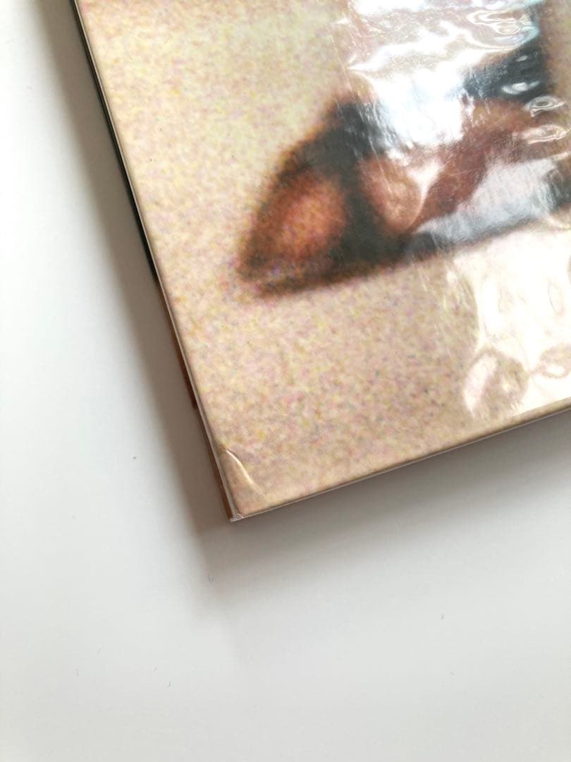 Ursula Kaufmann　ピナ・バウシェPina Bausch写真集セット