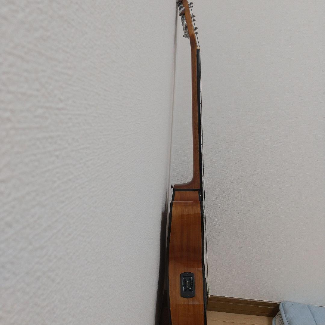 カ*ケ様 Alegre（FG-NARRA） アコースティックギター ハードケース