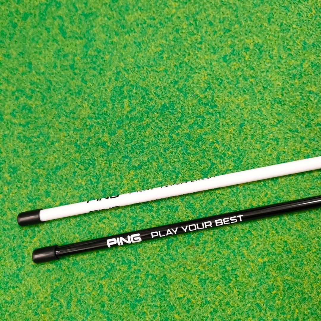 PING　アライメント　ステック　ピン