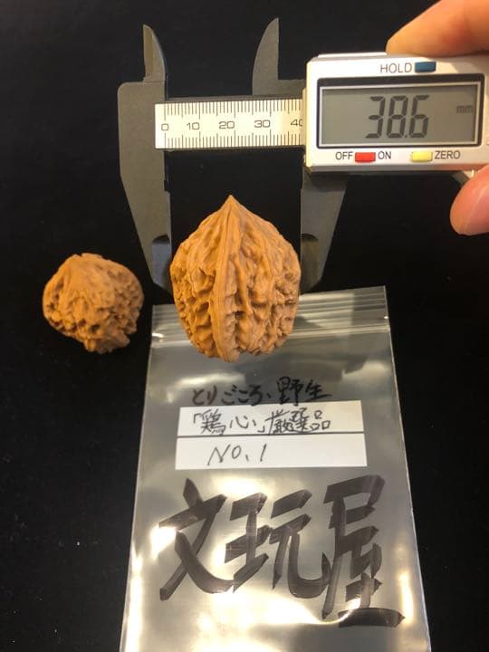 遊び胡桃 厳選品 野生 鶏心（とりごころ）No.1 くるみ 趣味 コレクション