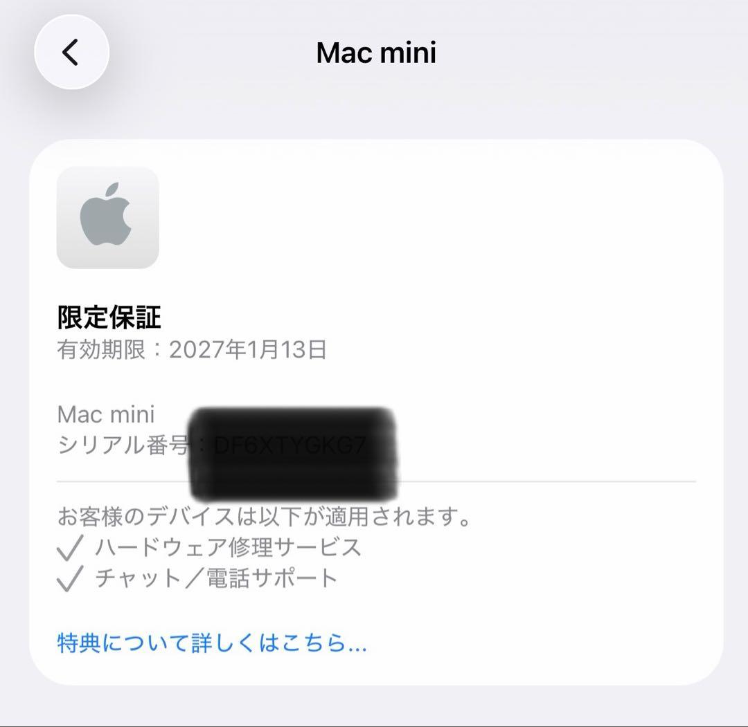 Macデスクトップ Apple Mac mini M4 16GB 256SSD