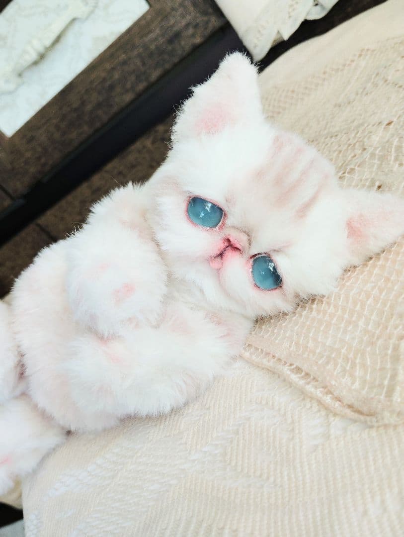 おふぅちゃん❤オーダー❤双子の子猫ちゃん♡アートドール♡ぬいぐるみ♡