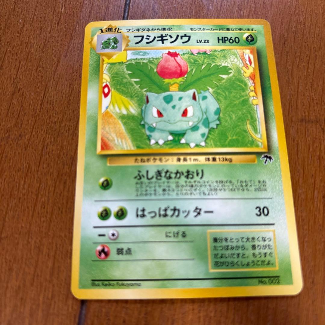 n*r様 旧裏ポケモンカード　サザンアイランド　川辺
