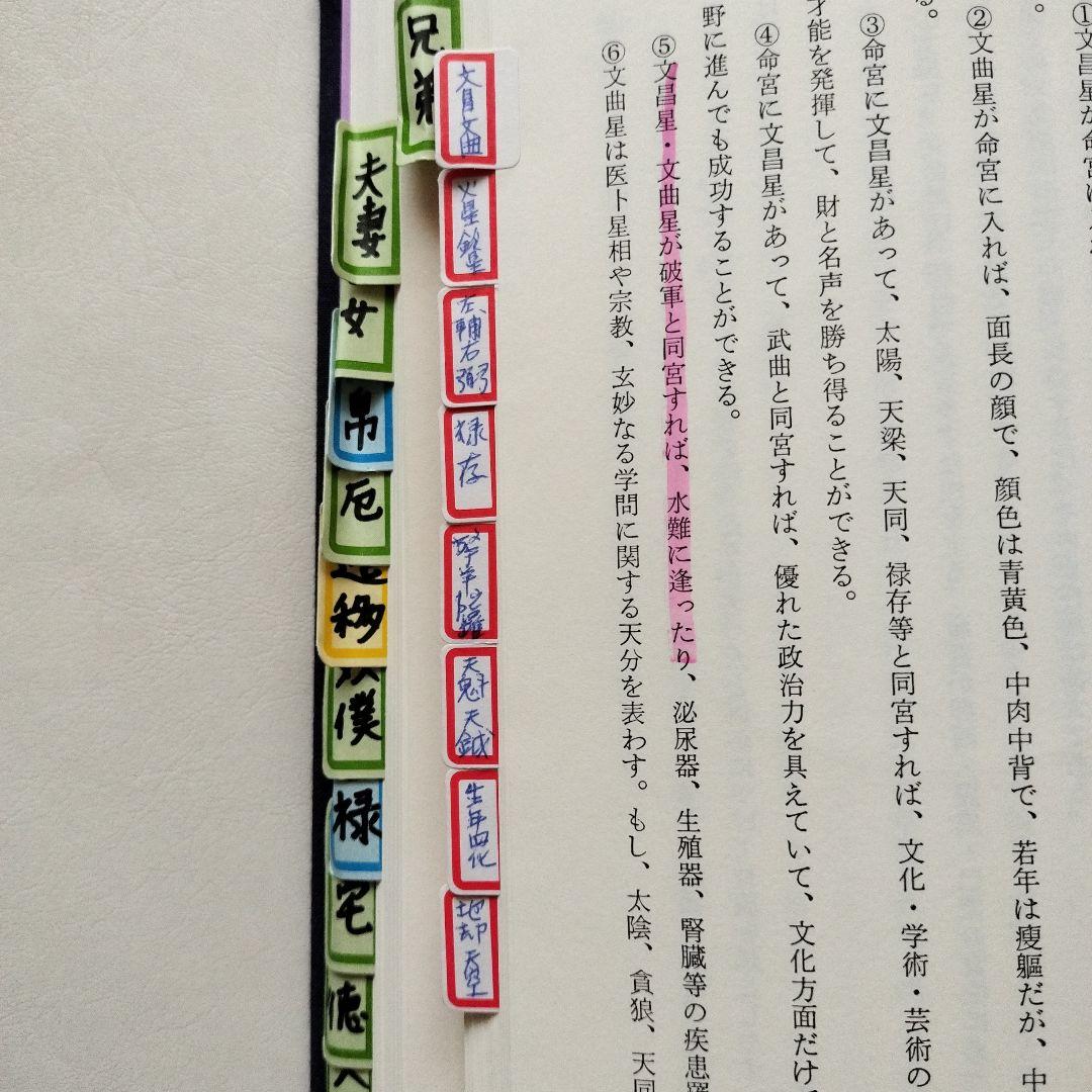 飛星紫微斗数闡秘