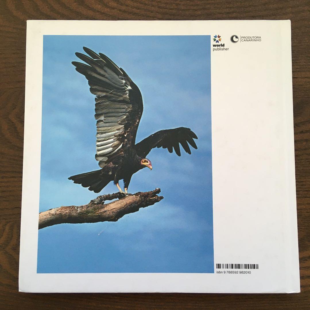 birds of brazil ブラジル 野鳥 写真集