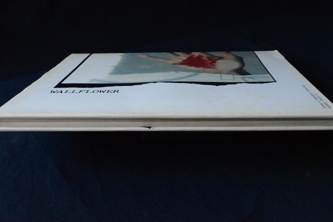Deborah Turbeville: Wallflowerデボラ・ターバヴィル