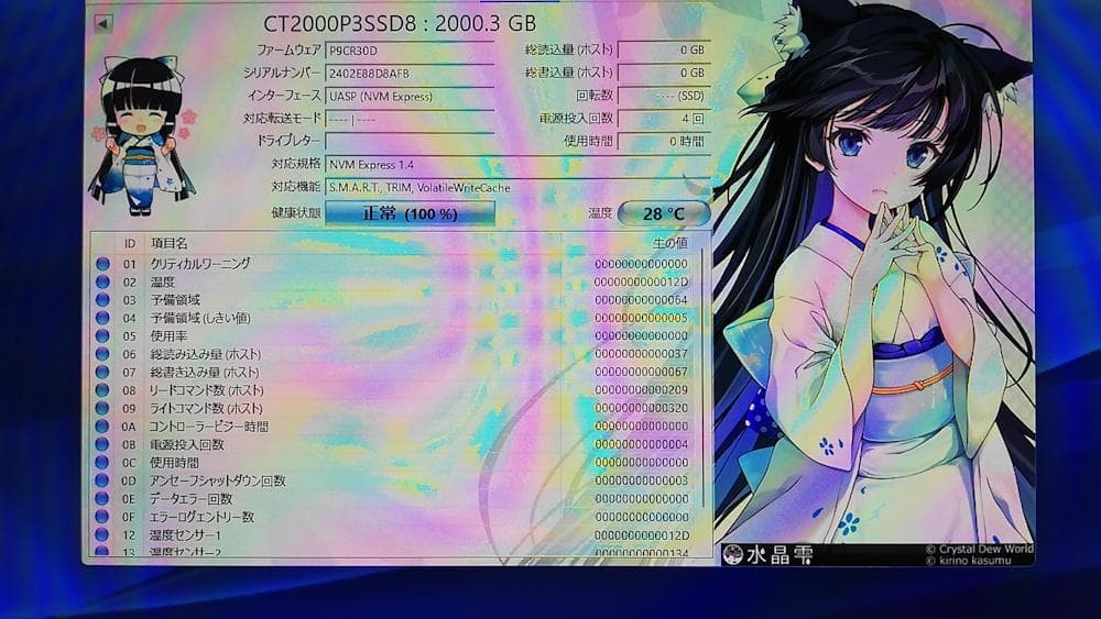 内蔵型SSD crucial P3 2000GB M.2 2280 SSD