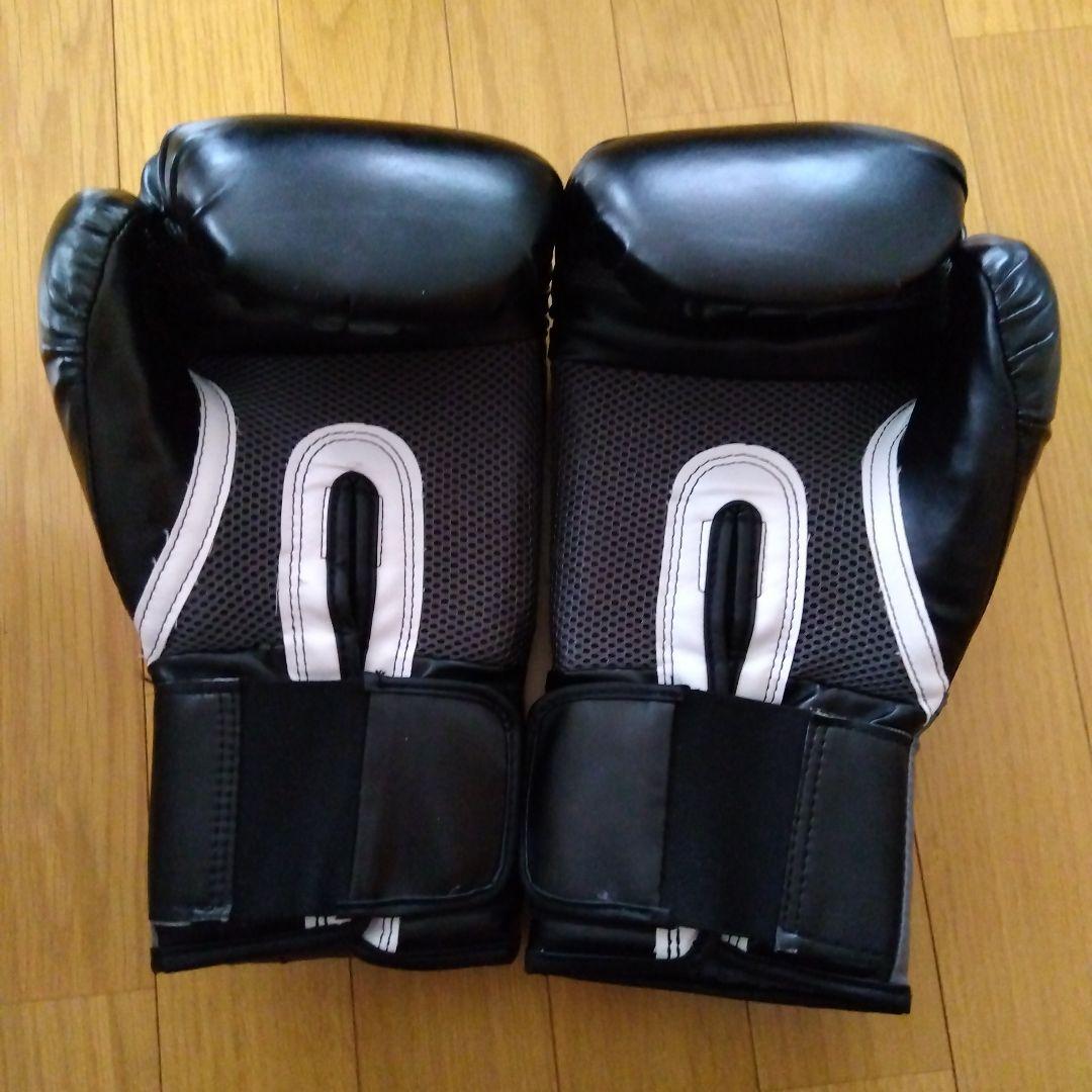 EVERLAST PRO STYLE TRAINING GLOVES 16オンス