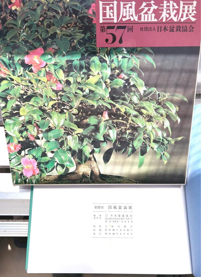 国風盆栽展 ８冊