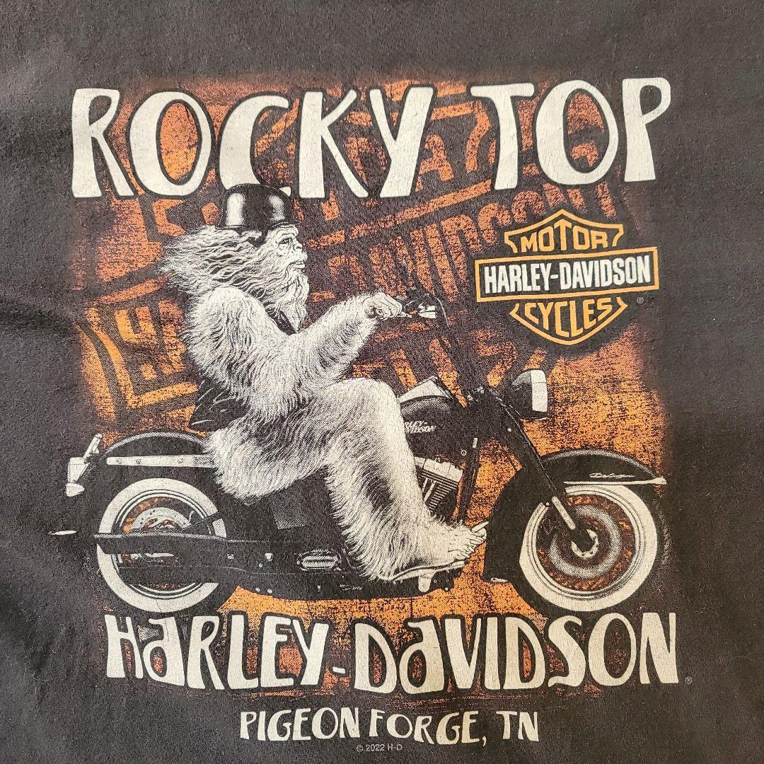 ハーレーダビッドソン Tシャツ ロッキー・トップ 2022年製　ブラック