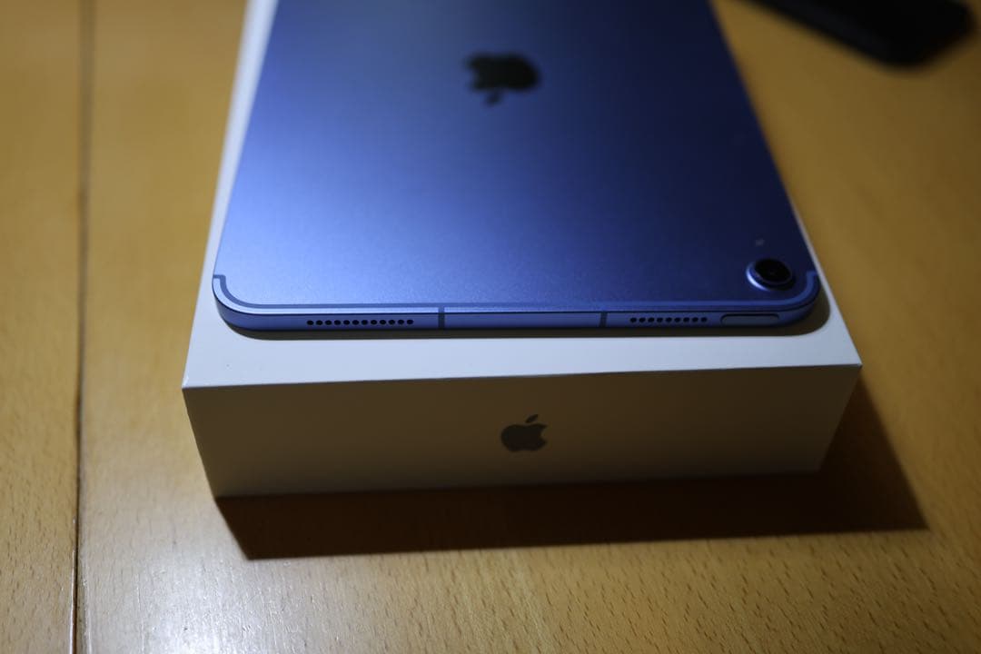 美品 iPad 第10世代 256GB WiFi+Cellular SIMフリー