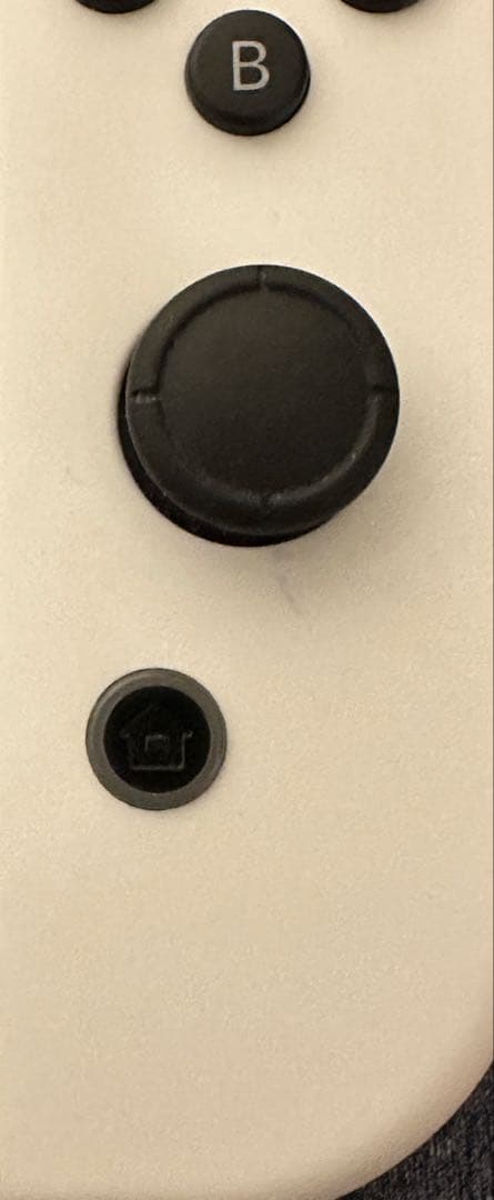 switch有機モデル
