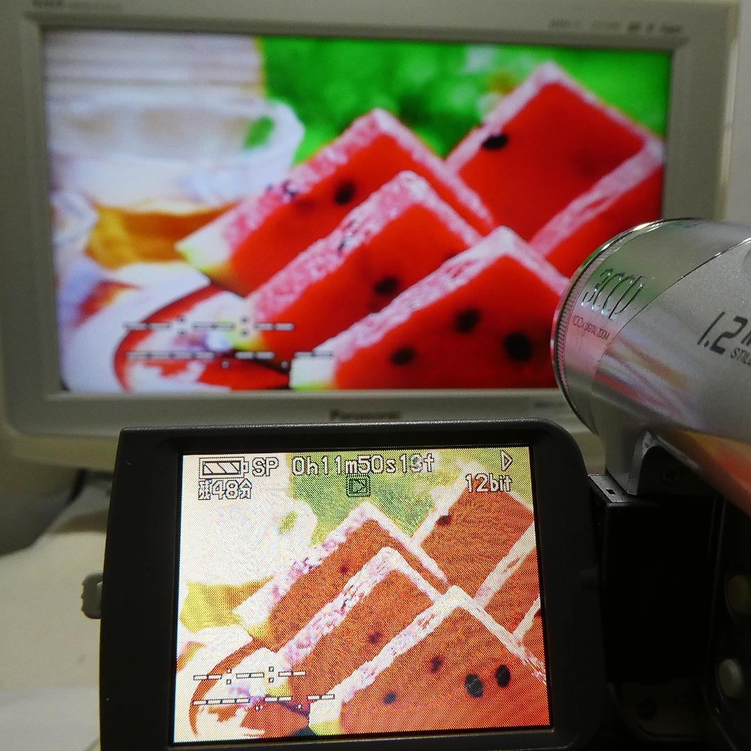 パナソニックNV-GS120動作良好 MiniDVビデオカメラ　ダビングに最適