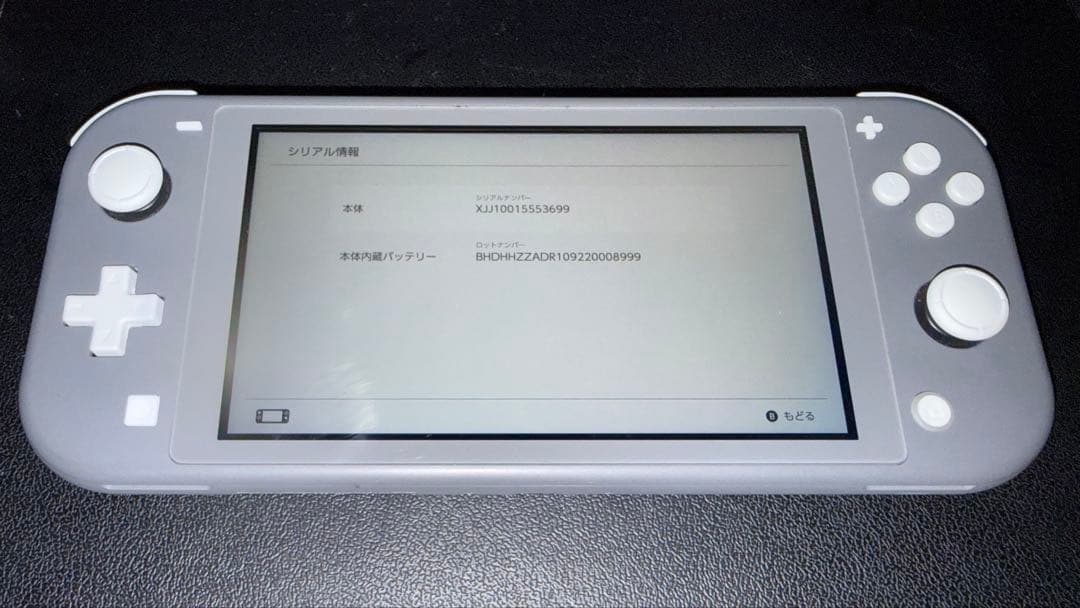 【中古品】Nintendo Switch Lite グレー 本体