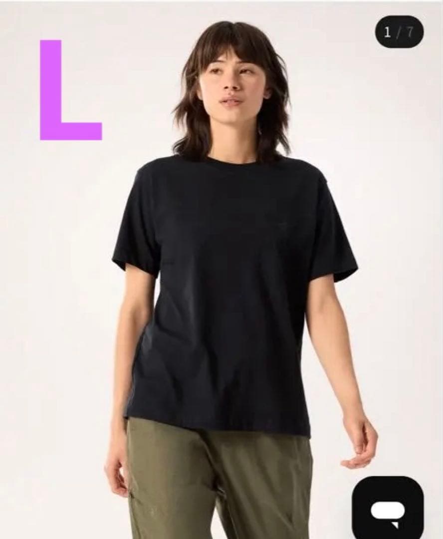ARC'TERYX Tシャツ 新品タグ付き L 半袖 黒ロゴ アークテリクス