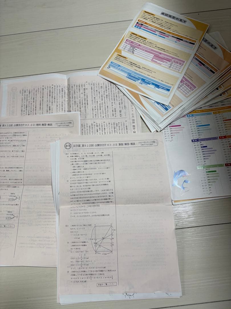 小5浜学園公開学力テスト2024年一年分　4科➕記述力錬成　二つの得点分布表付き