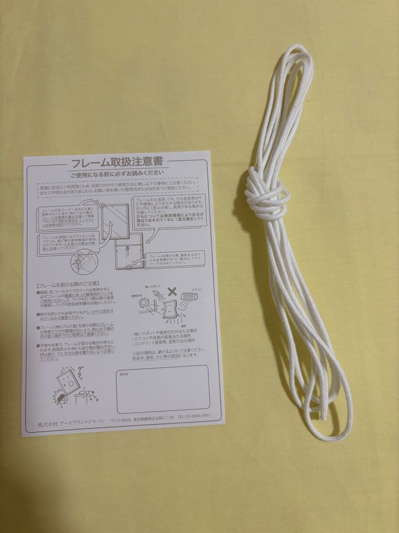 池田瑛紗 個展 あひるの夢