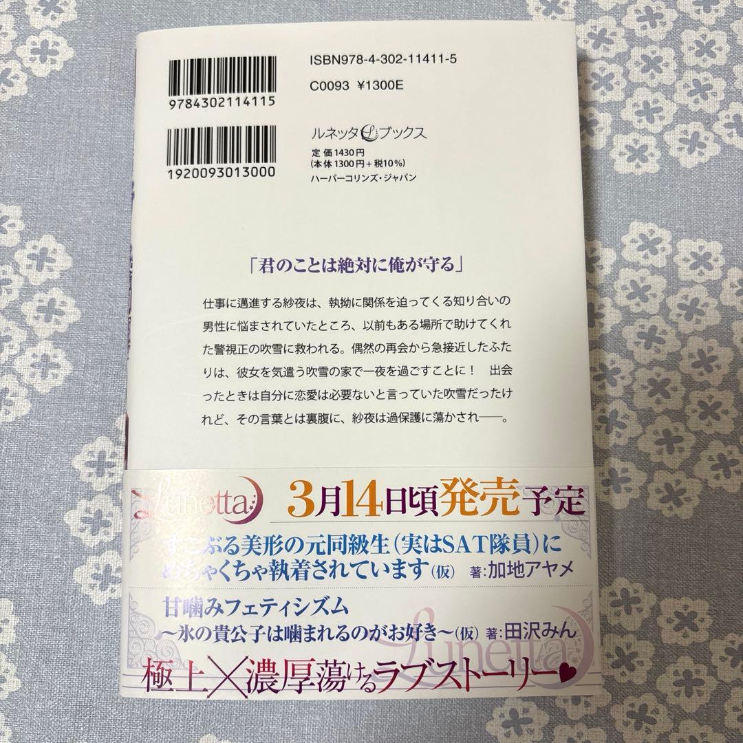 【専用】エタニティブックス・ルネッタブックス・ヴァニラ文庫・蜜猫文庫　2月新刊