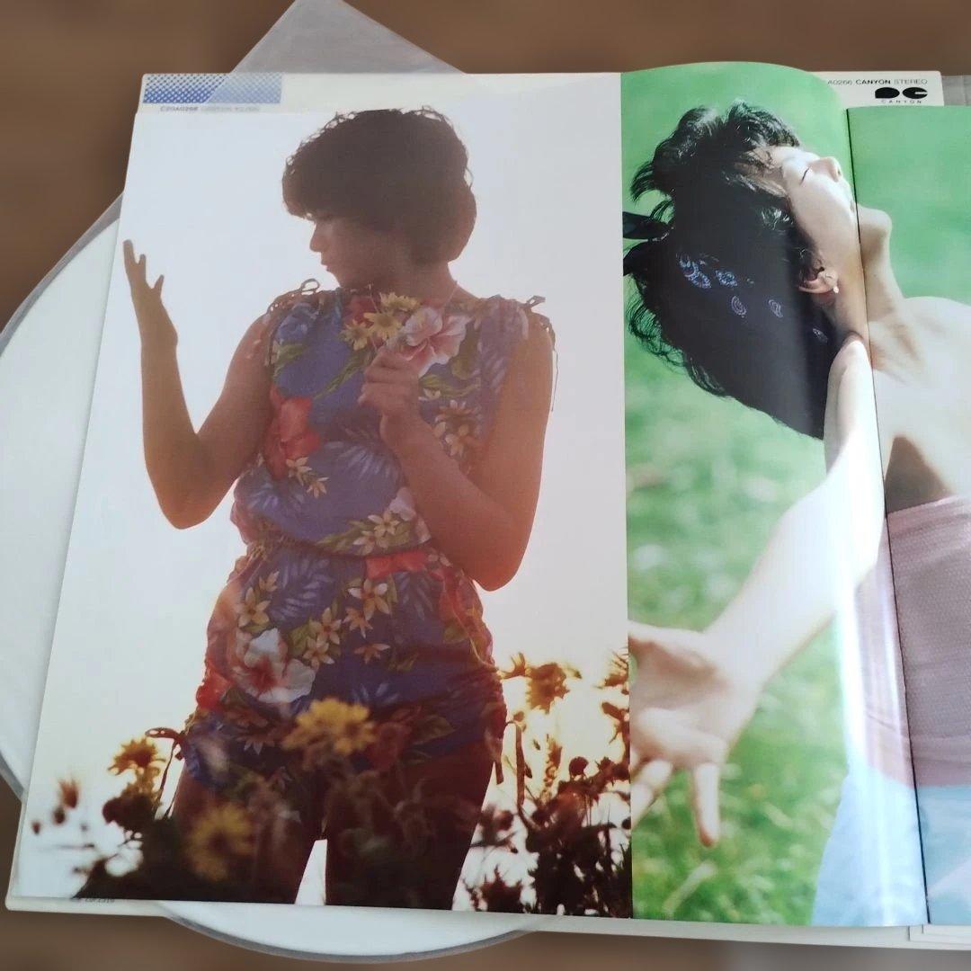 心の扉−ちえみMyself−堀ちえみ 写真集心の扉　レコード盤LP