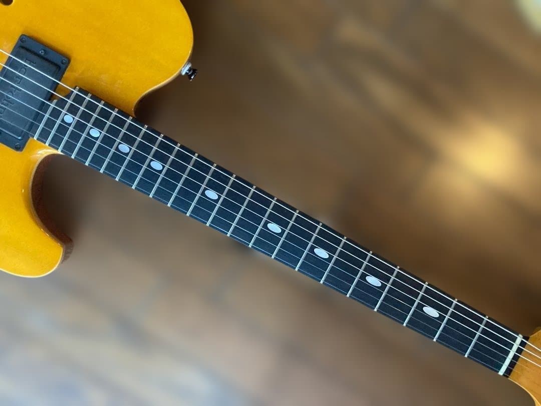 Westville Westel Semi-Hollow 　貴重な１マイク仕様