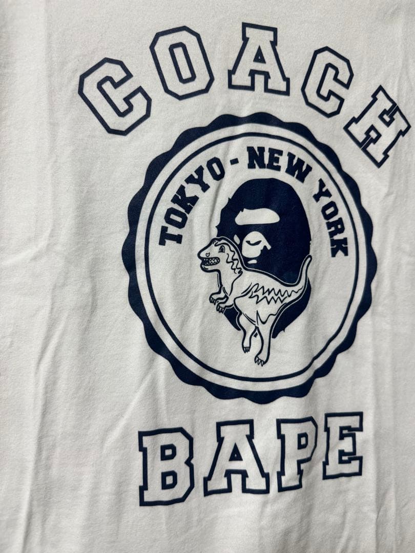 コーチxベイプtシャツ