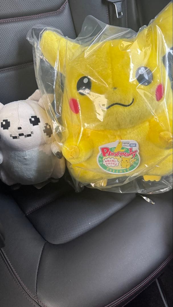点セット　ポケモン はじまりのピカチュウ＆おかえり！ピカチュウ ぬいぐるみ