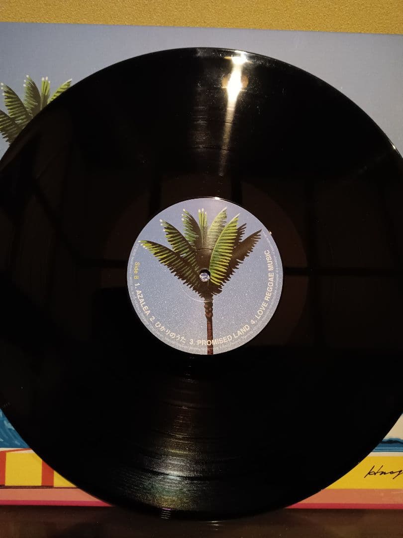 DUNN'S  PON DE WAVE LPレコード どんずりばー